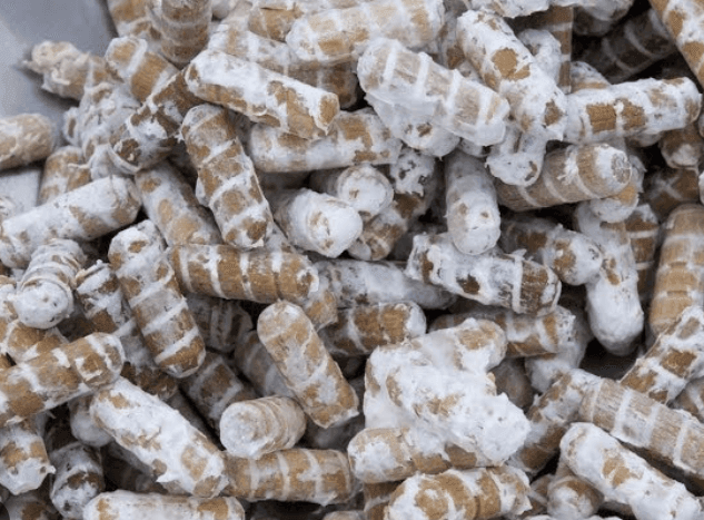Colonized Dowel Plugs